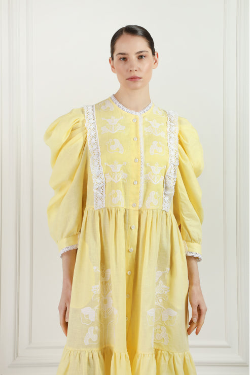 Yellow Midi Family Tree