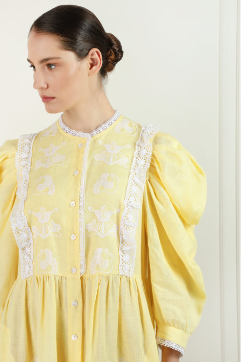 Yellow Midi Family Tree